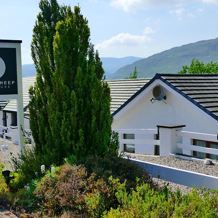 Black Sheep Bunkhouse フォート・ウィリアム エクステリア 写真